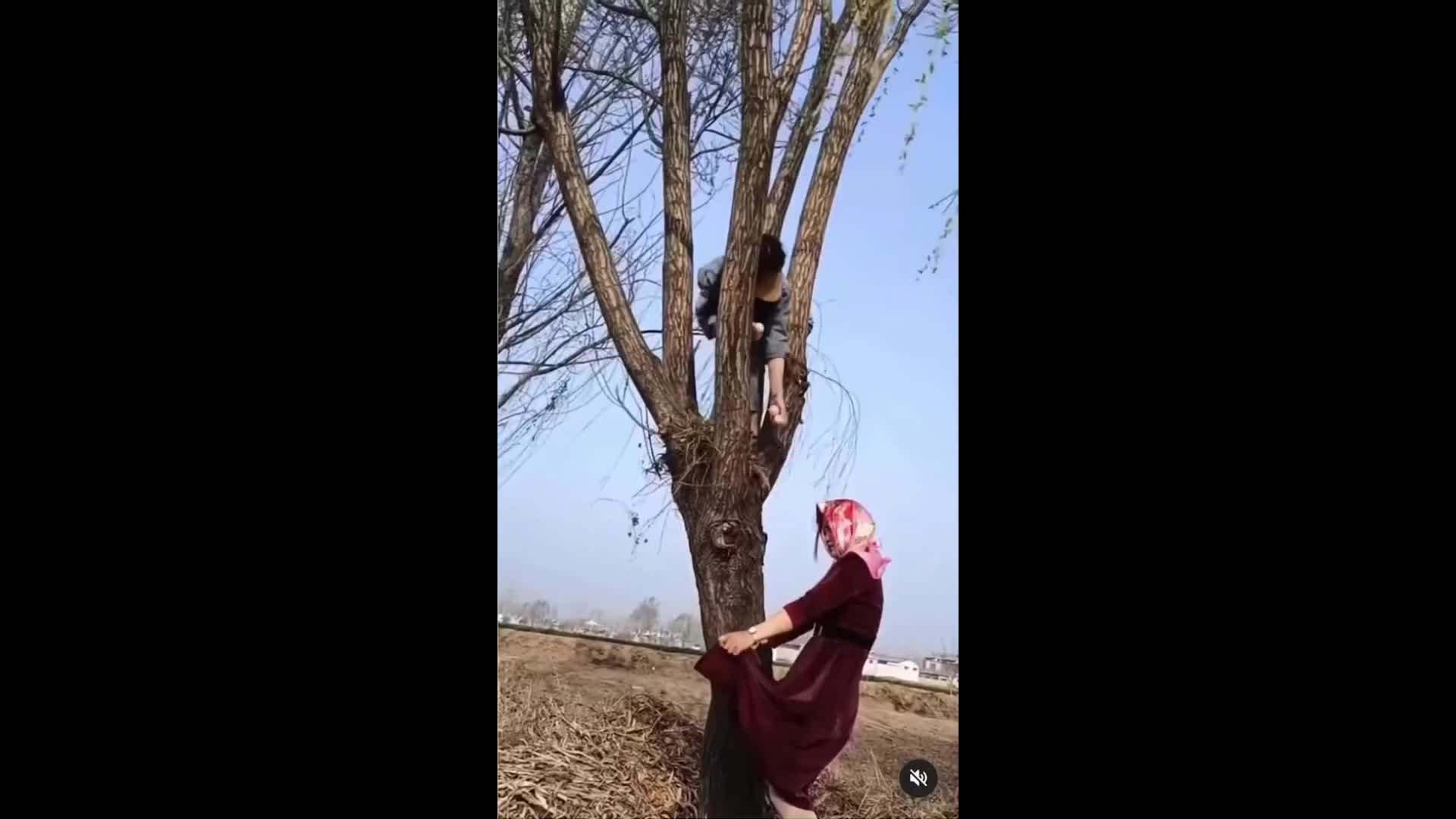 Video - Clip: Chim tấn công những người phụ nữ đang cố lấy trộm trứng