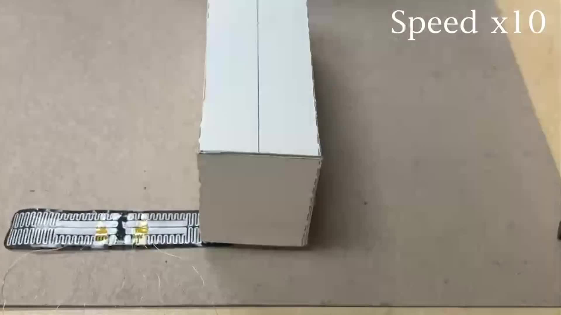 Video - Clip: Robot sâu bướm có thể chui qua khe cửa đã được phát triển 