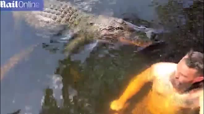 Video - Clip: Người đàn ông bị cá sấu cắn vào vai và cái kết bất ngờ