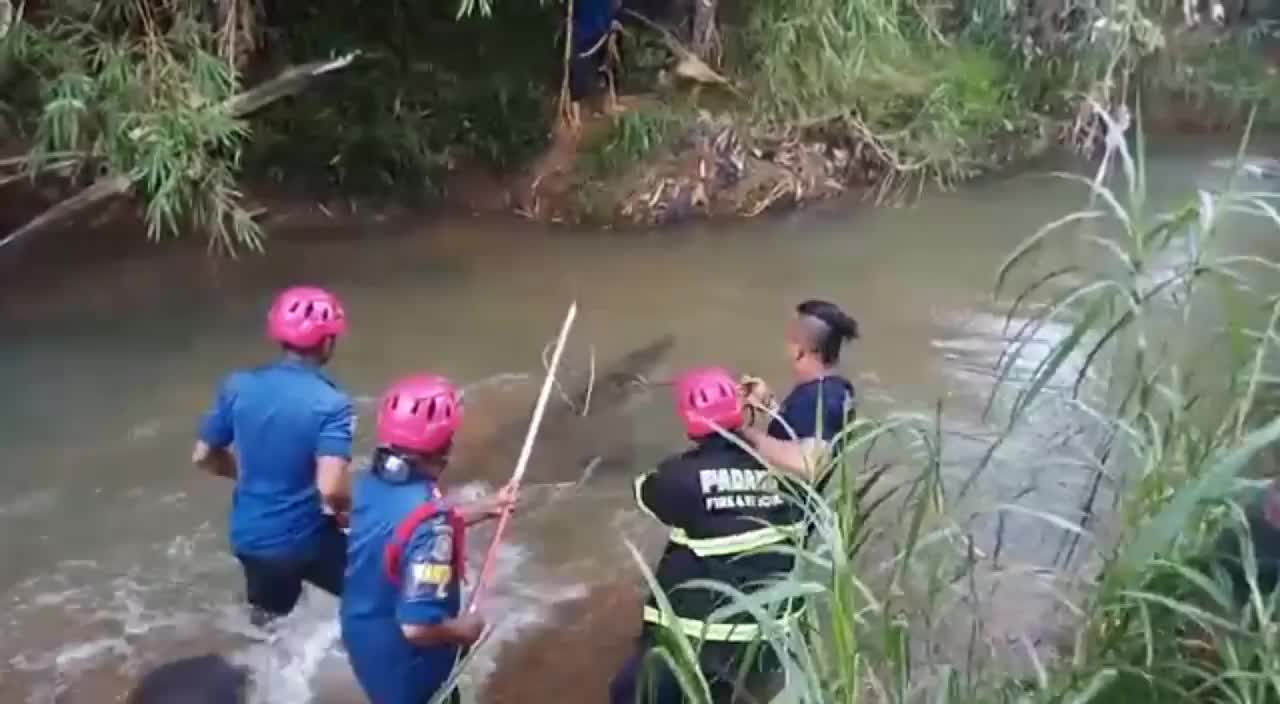 Video - Clip: Nhảy lên tóm đầu cá sấu khổng lồ, lính cứu hỏa suýt bị cắn