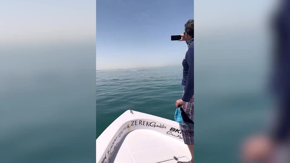 Video - Clip: Cá voi sát thủ vây quanh thuyền của ngư dân