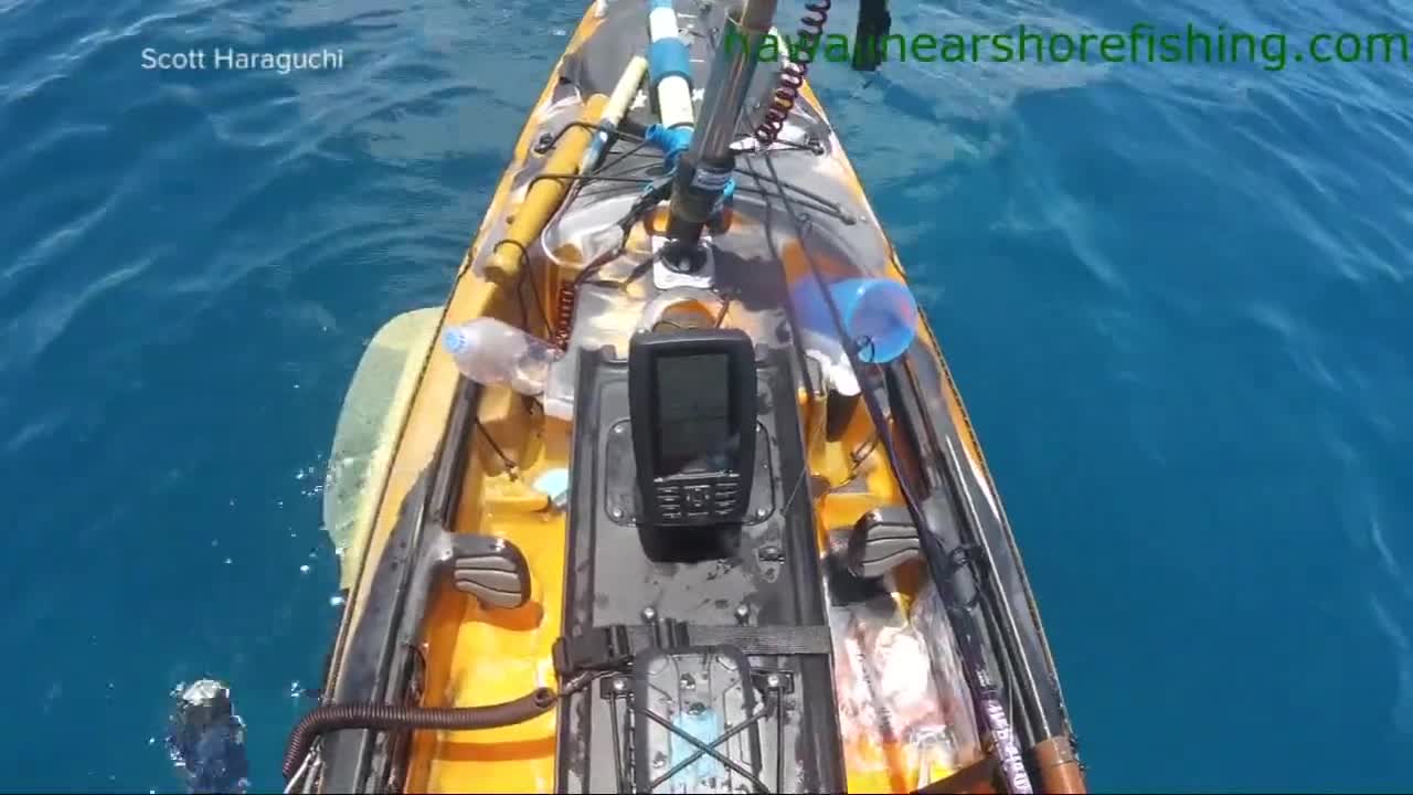 Video - Clip: Kinh hoàng cá mập tấn công thuyền của ngư dân