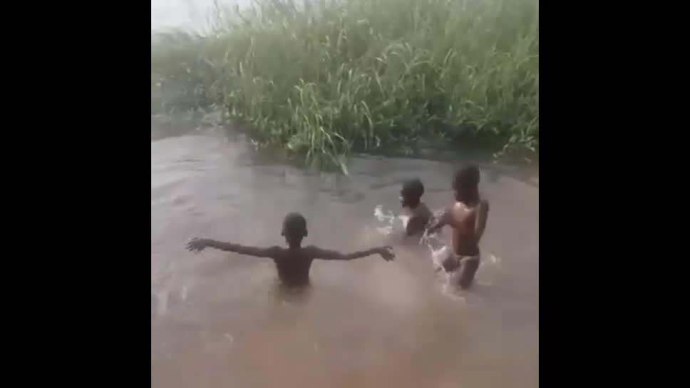 Video - Clip: Kinh hoàng cảnh 3 cậu bé suýt bị hà mã nuốt chửng khi đang bơi