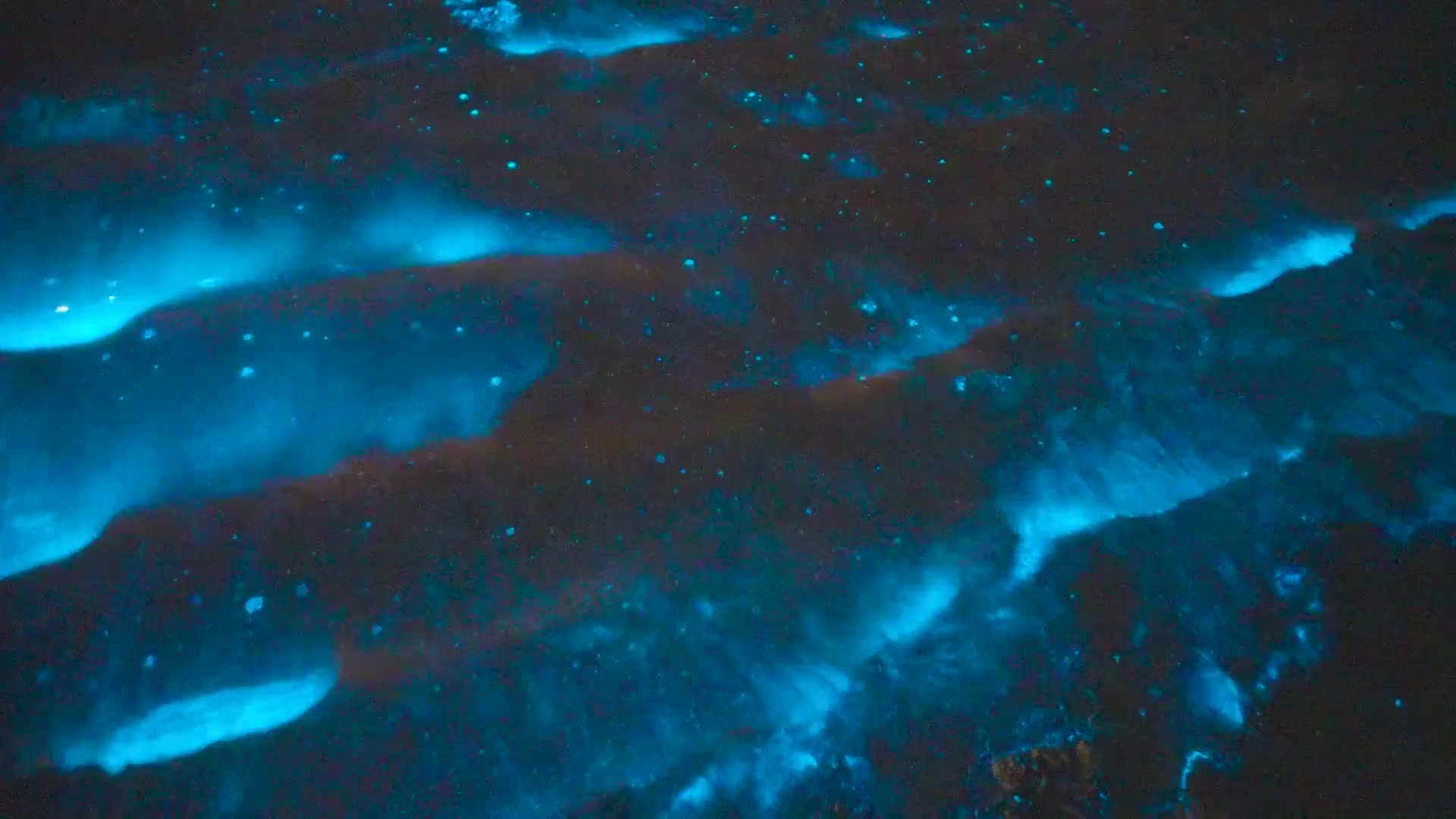 Video - Huyền ảo cảnh tượng tảo phát quang sinh học chiếu sáng biển ở Hà Lan