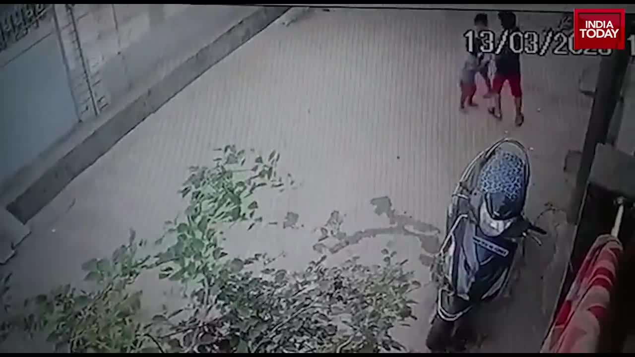 Video - Clip: Lợn điên cuồng cắn bé trai trên phố và màn giải cứu gay cấn