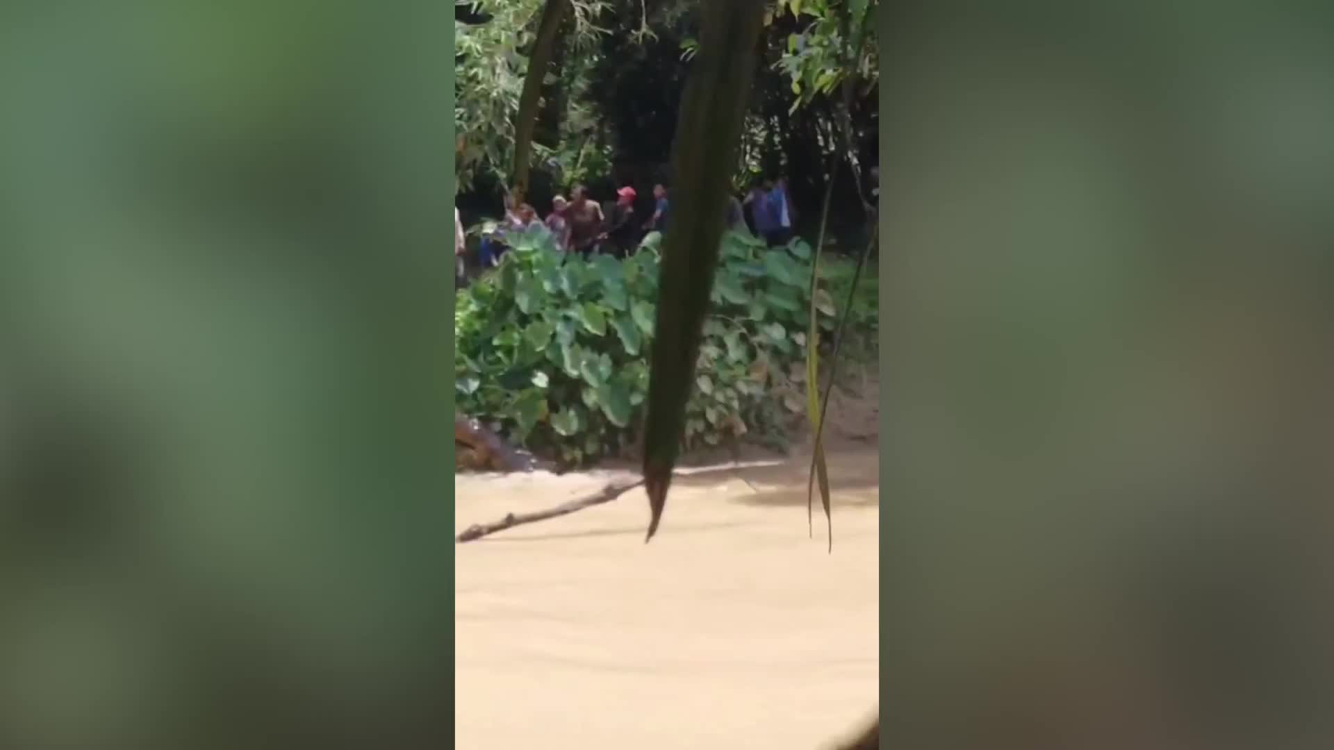 Video - Clip: Kinh hoàng cảnh hai mẹ con bị cá sấu tấn công khi giặt đồ trên sông