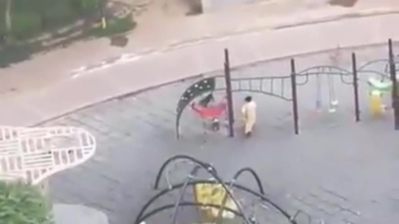 Video - Clip: Bị 3 chó hoang tấn công, người phụ nữ ôm chó cưng bỏ chạy