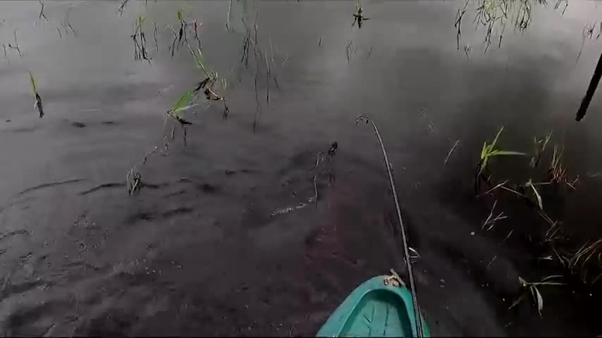 Video - Clip: Nam thanh niên câu được 'thủy quái' nặng 100kg trên sông
