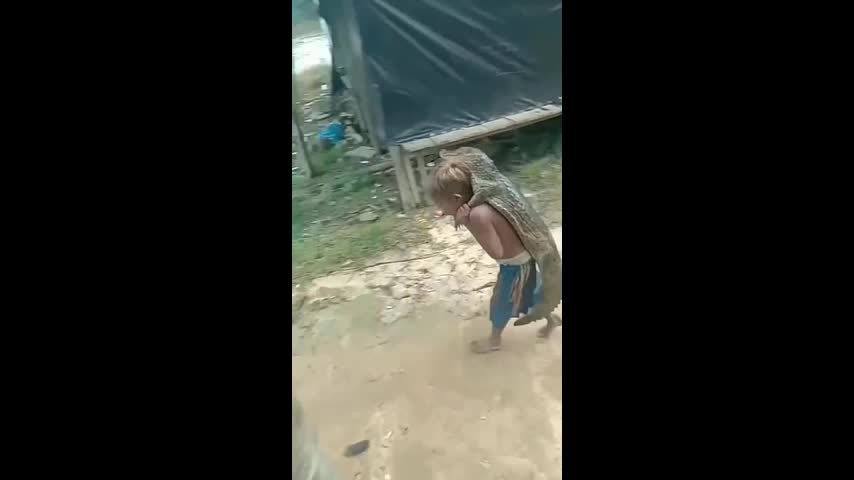 Video - Clip: Bé trai 'hồn nhiên' cõng cá sấu trên lưng rồi đi bộ trên đường