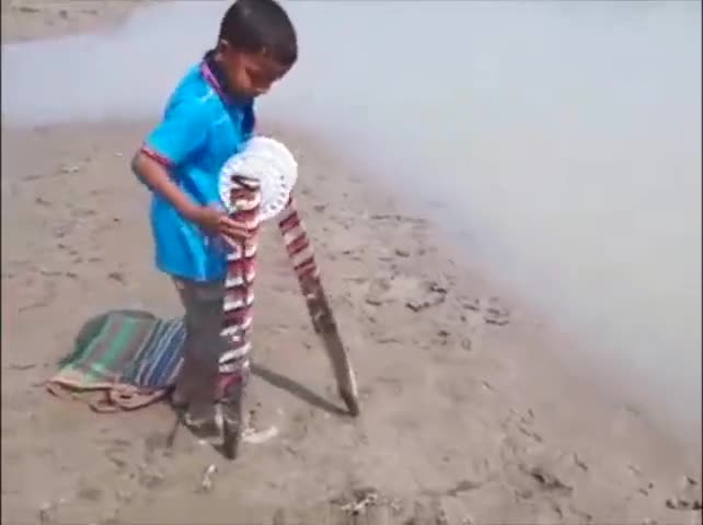 Video - Clip: Kỹ thuật câu cá độc đáo của cậu bé gây sốt cộng đồng mạng