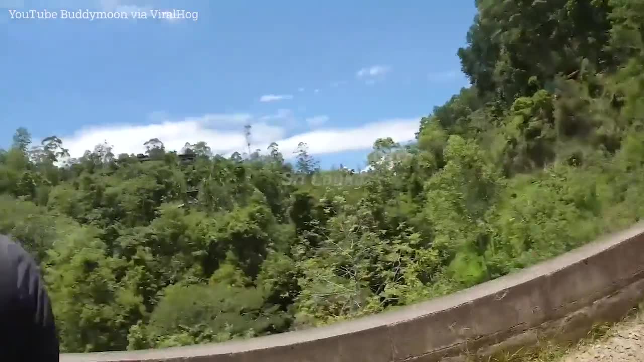 Video - Clip: Bị ong đốt, vợ nhanh chân bỏ chạy để chồng một mình trên cầu