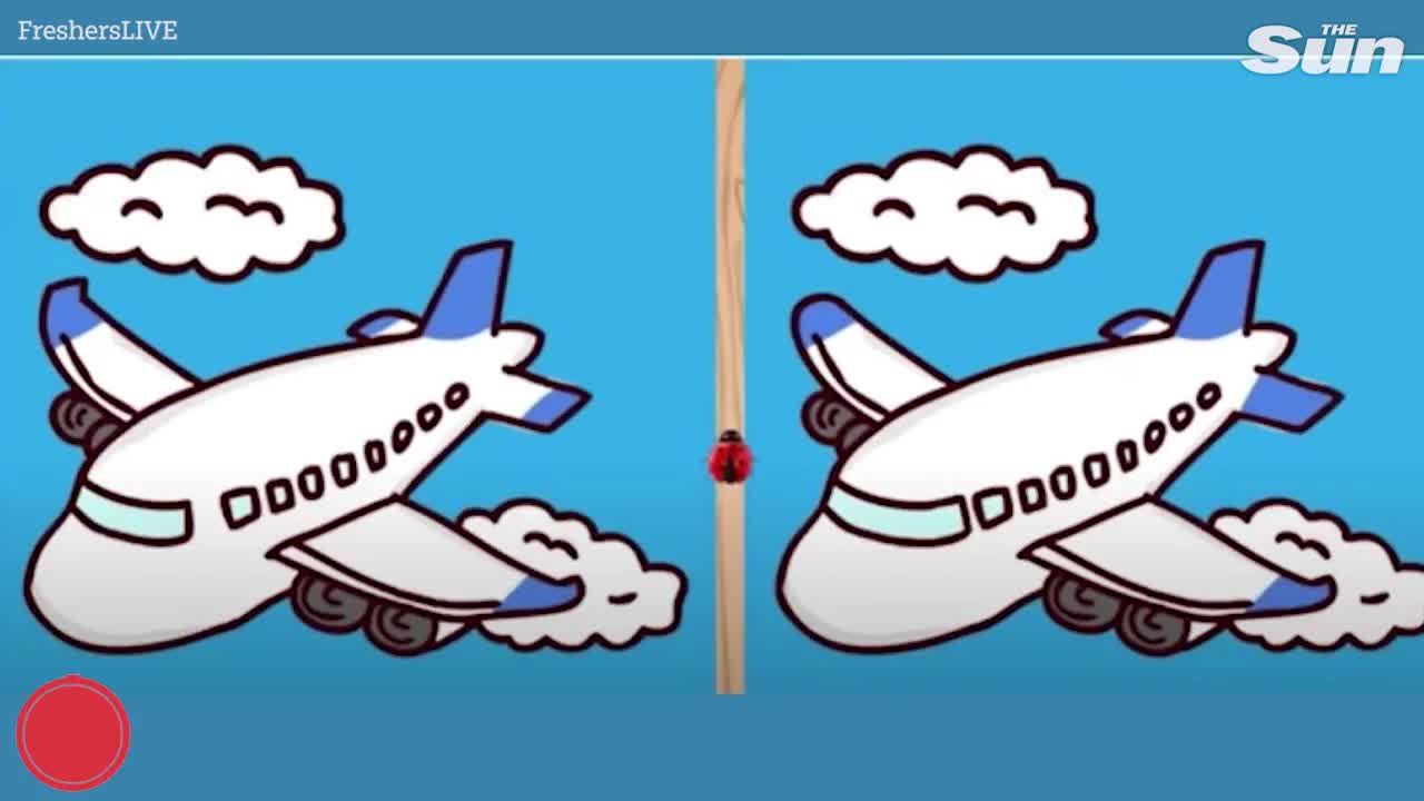 Video - Chỉ những người rất tinh mắt mới nhìn ra 3 điểm khác biệt trong 2 bức hình máy bay