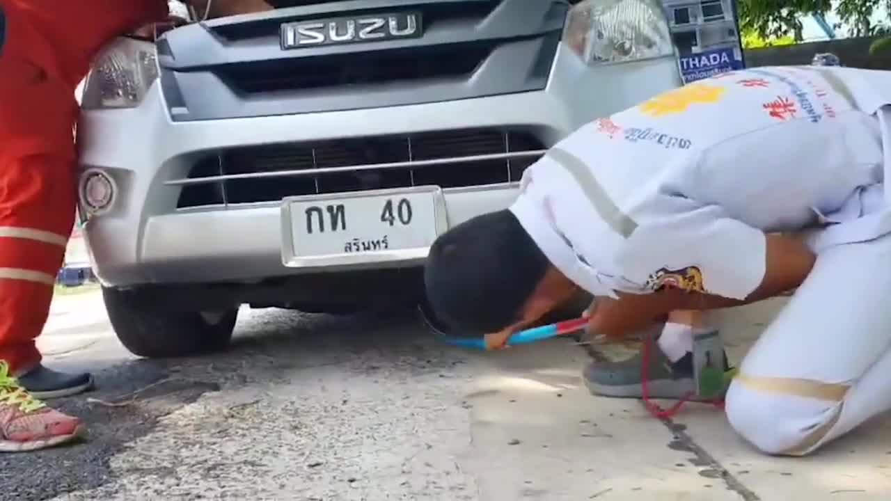 Video - Clip: Phát hiện bò sát hung dữ trốn trong xe nhờ tiếng sủa của chó