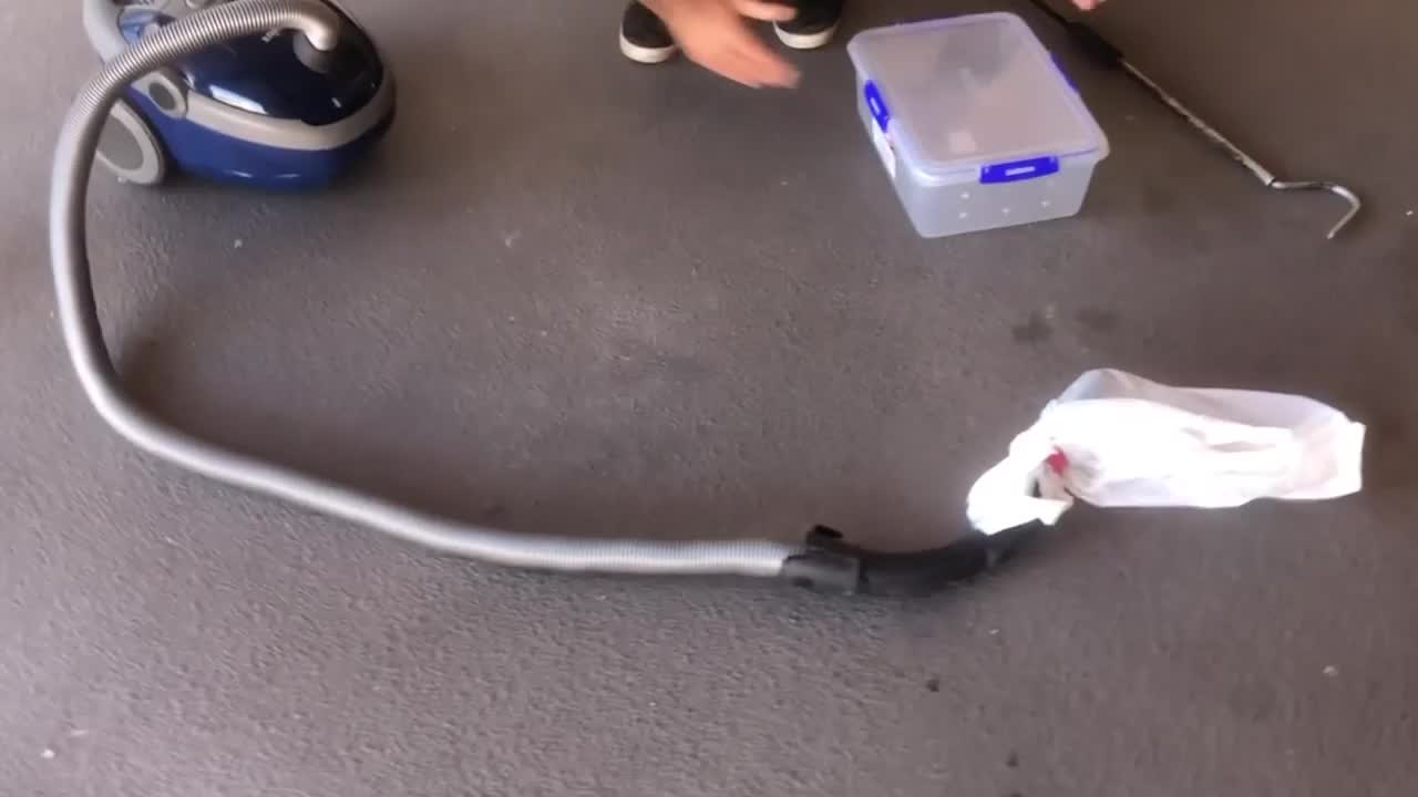 Video - Clip: Hi hữu rắn bị hút vào trong máy hút bụi