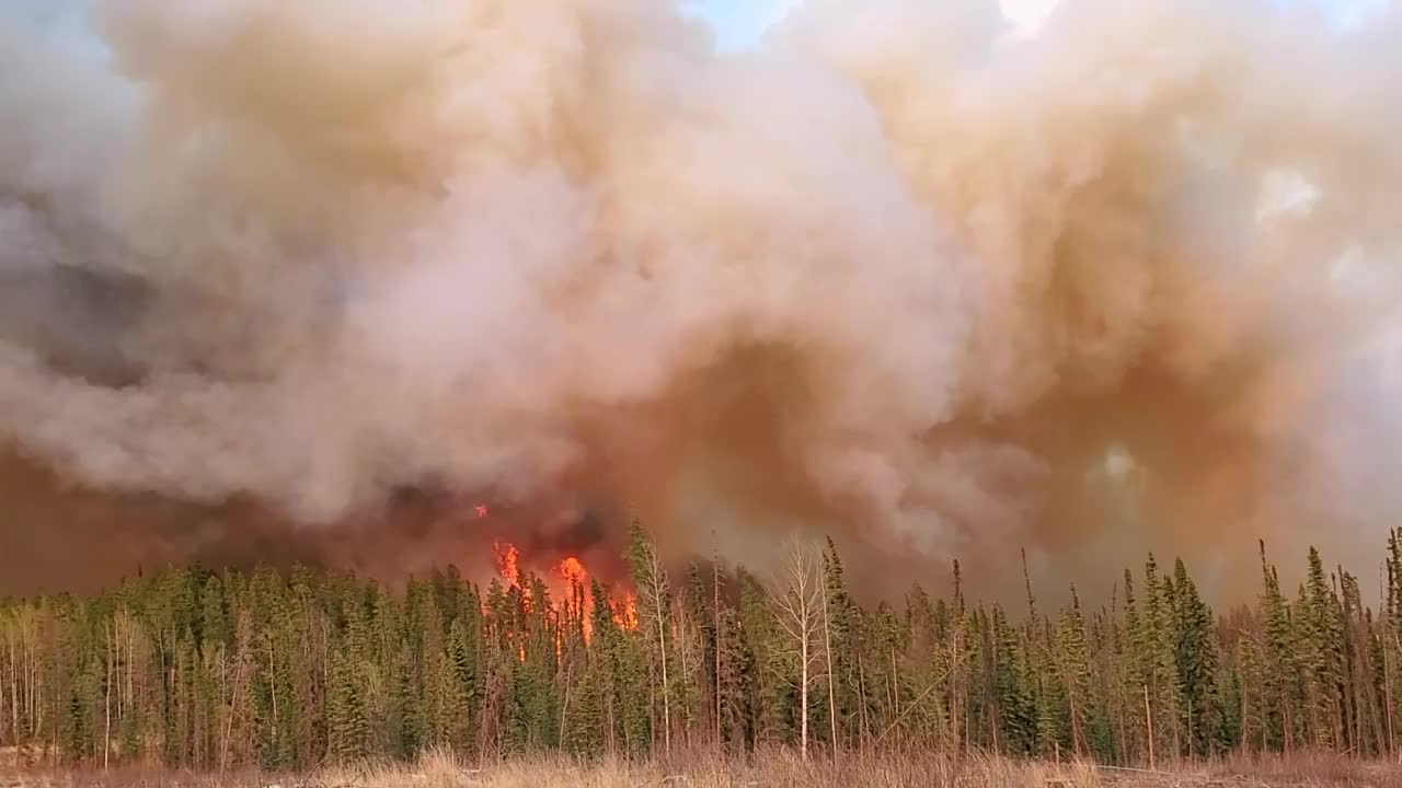 Video - Clip: Cháy rừng lớn ở Canada, hơn 24.000 người phải sơ tán (Hình 2).