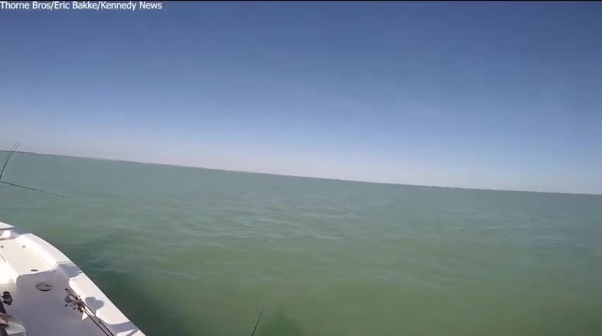 Video - Clip: Cá khủng nhảy qua thuyền, vẫy đuôi 'trêu ngươi' cần thủ