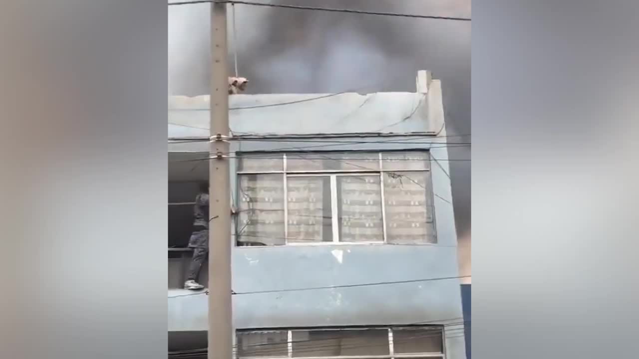 Video - Clip: Người hùng vô gia cư giải cứu 25 chú chó khỏi tòa nhà đang cháy