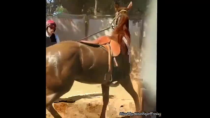 Video - Clip: Bị tấn công, ngựa nổi điên 'tung cước' đá bay người đàn ông