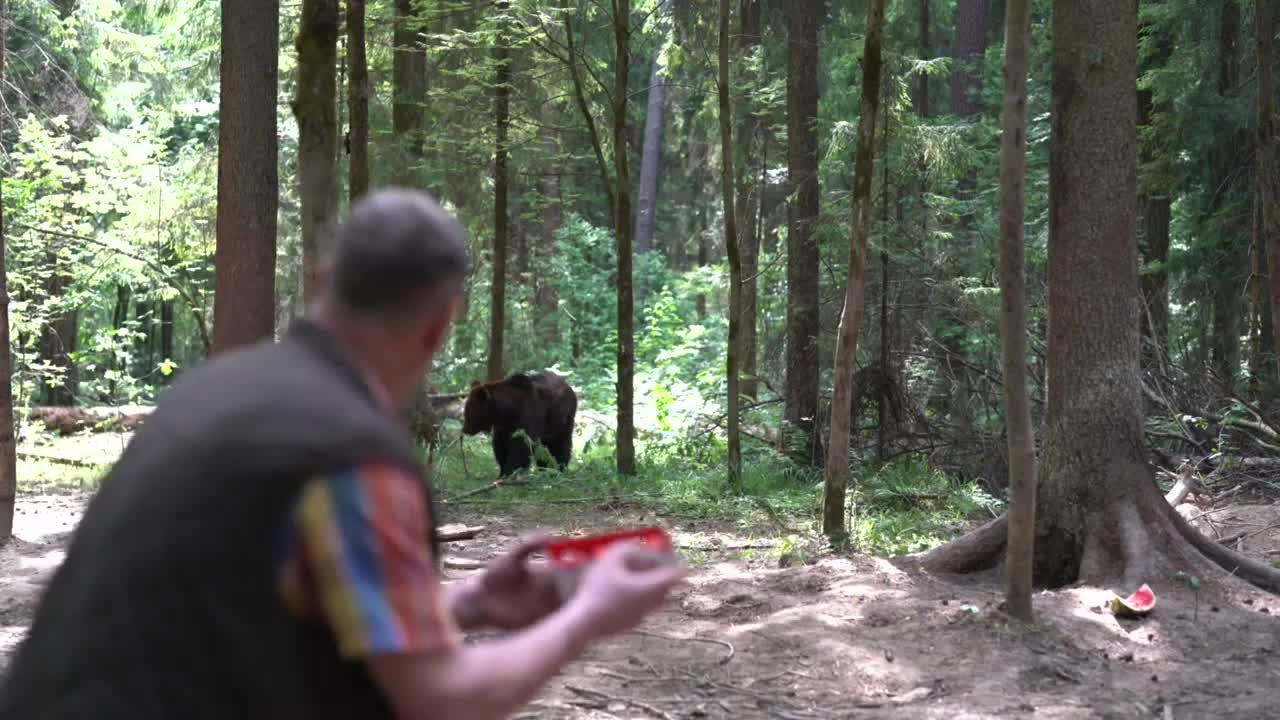 Video - Clip: Gấu nâu thản nhiên ăn kẹo từ tay người đàn ông