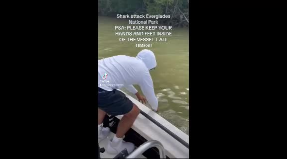 Video - Clip: Cá mập bất ngờ ngoạm tay, kéo người đàn ông xuống nước