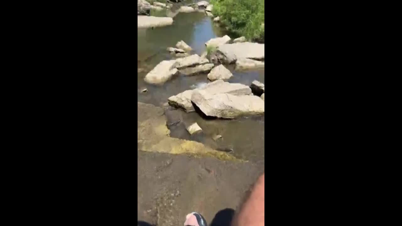Video - Clip: Rùa ẩn mình dưới đá ra đòn nhanh như chớp tóm gọn rắn
