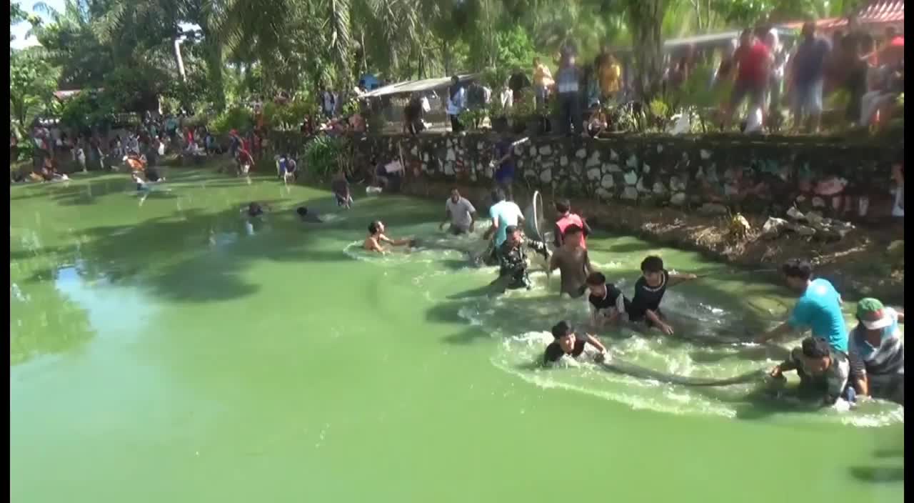 Video - Clip: Hàng nghìn người nhảy xuống sông bắt cá “cấm”