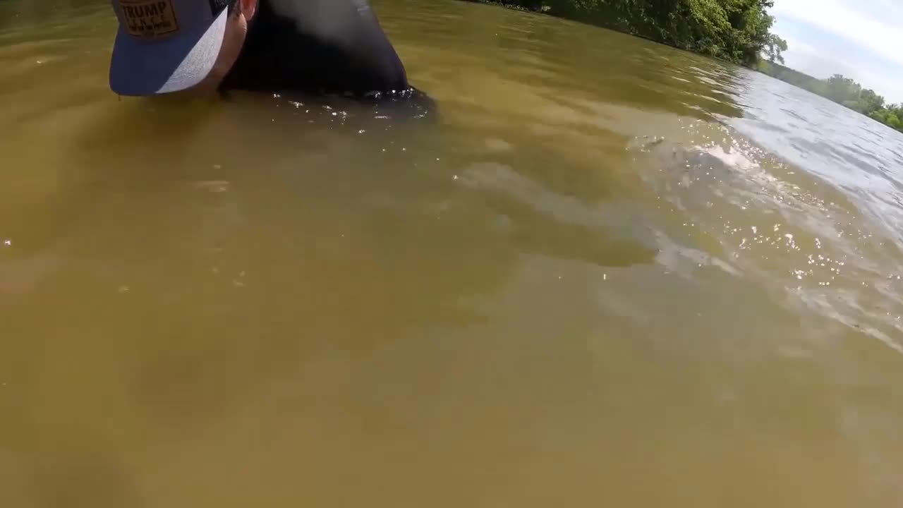 Video - Clip: Cô gái dùng tay không bắt cá trê khủng, nặng 30kg dưới hồ