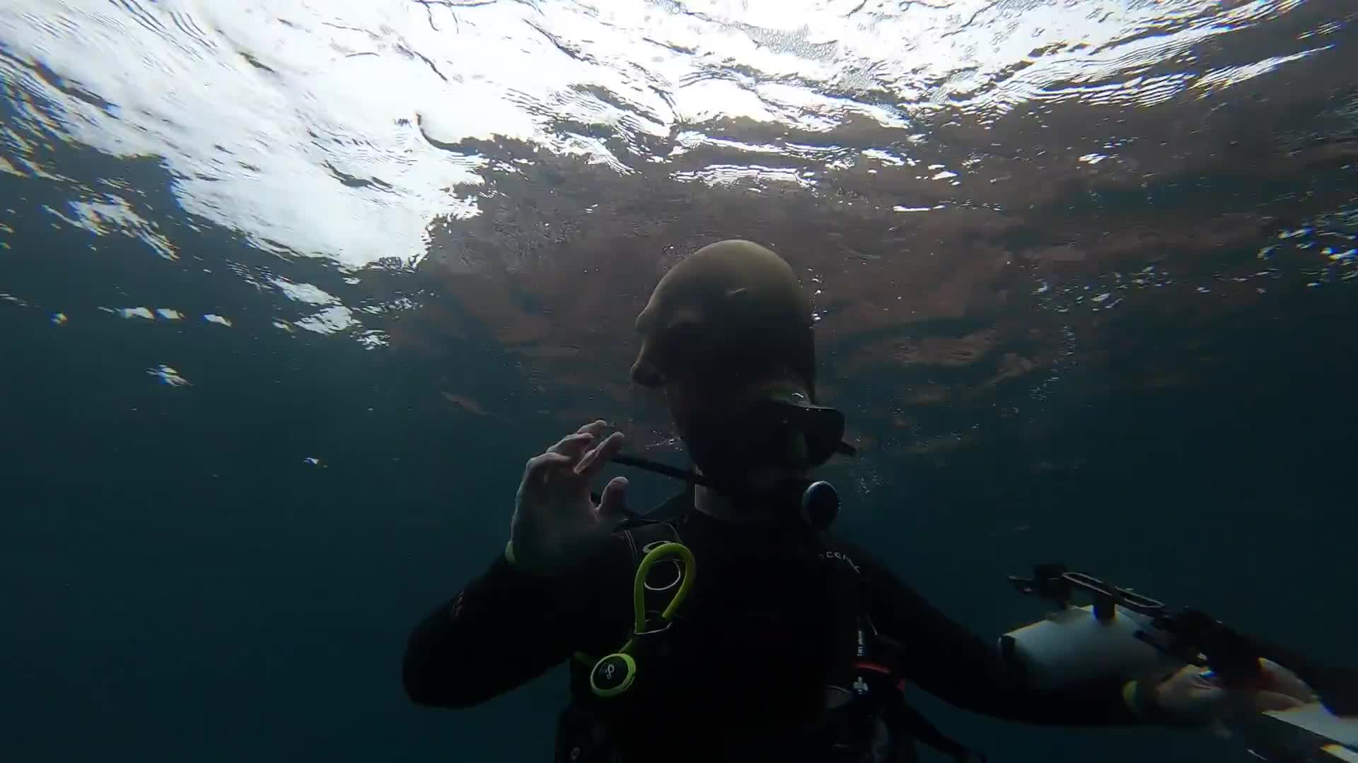 Video - Clip: Sư tử biển con táo bạo bám vào đầu nhiếp ảnh gia