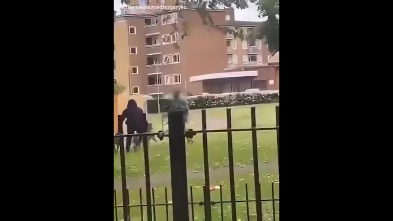 Video - Clip: Người phụ nữ bị đàn chó tấn công trước mặt chủ của chúng