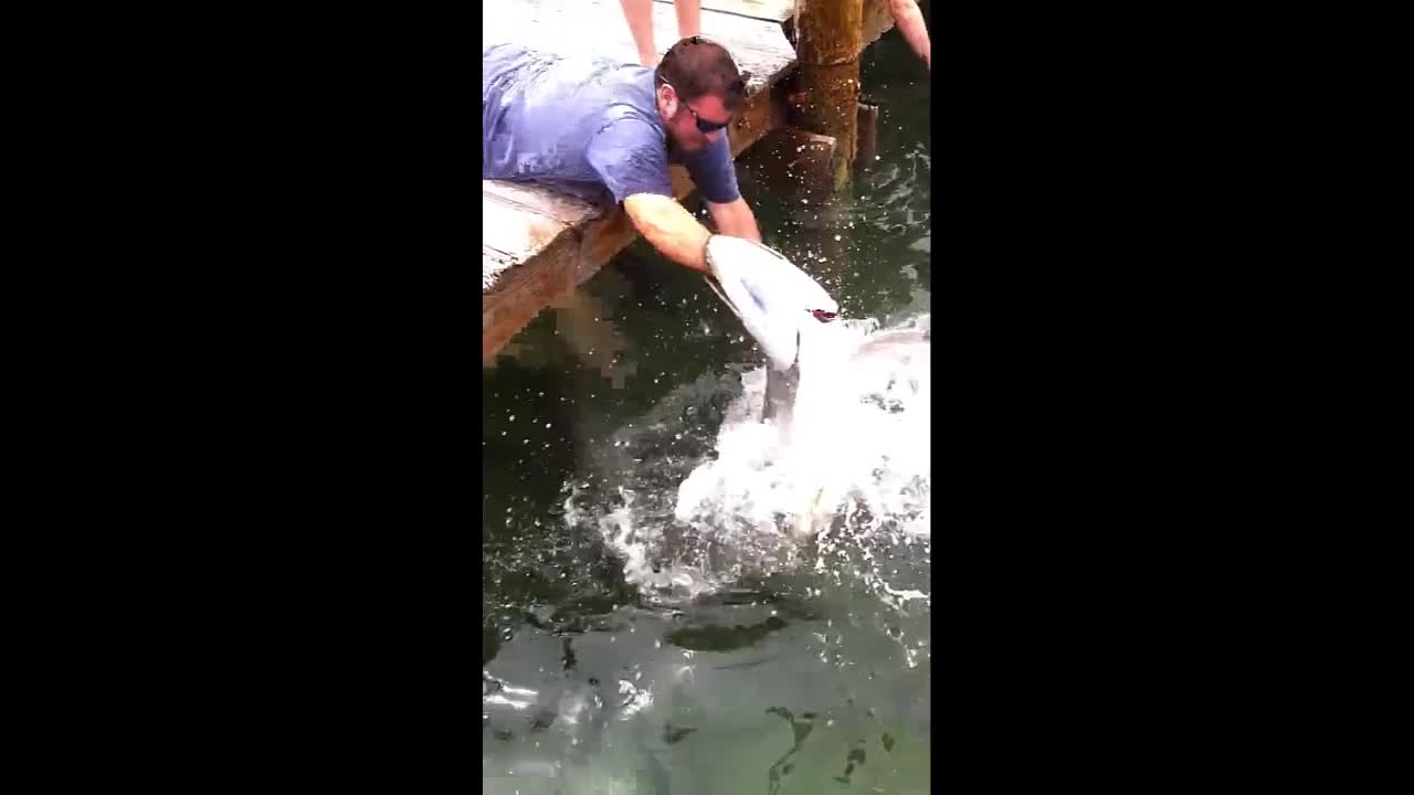 Video - Clip: Người đàn ông dùng tay câu cá 'khủng' và màn vật lộn gay cấn