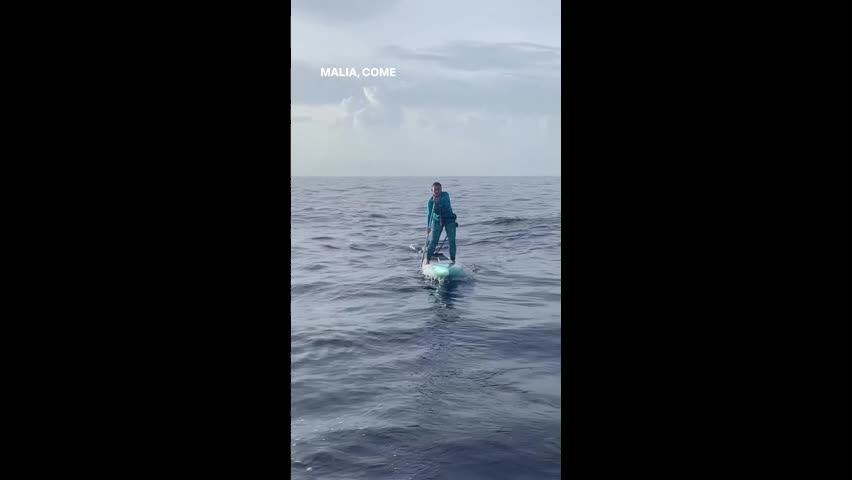 Video - Clip: Kinh hãi cá mập rình rập người chèo ván ở giữa biển