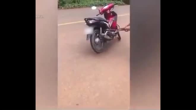 Video - Clip: Người đàn ông dùng dép tông bắt rắn khủng mắc vào xe máy