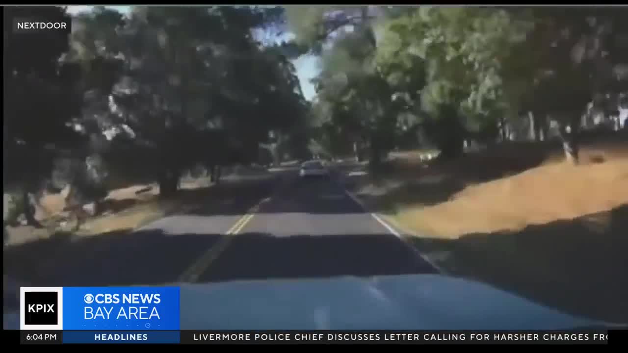 Video - Clip: Bị cướp chặn đường, nữ tài xế có màn phản ứng cực thông minh