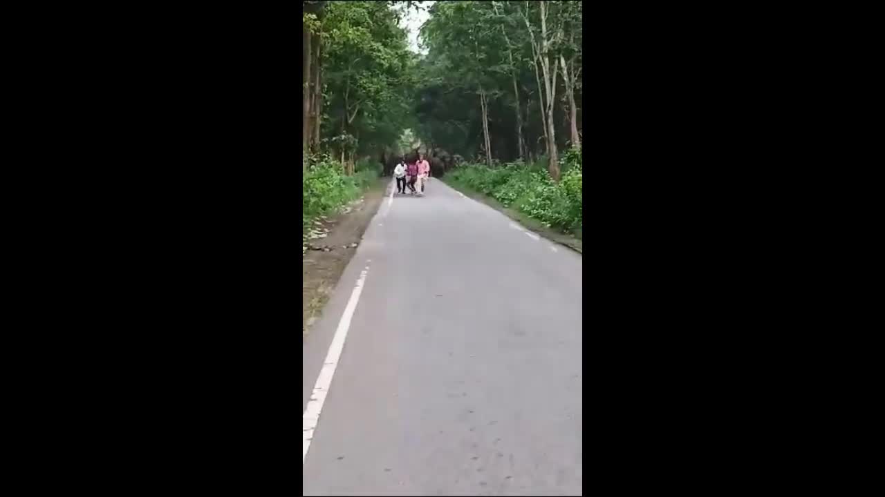Video - Clip: Bị voi rượt đuổi, 3 người đàn ông bỏ chạy thục mạng và cái kết
