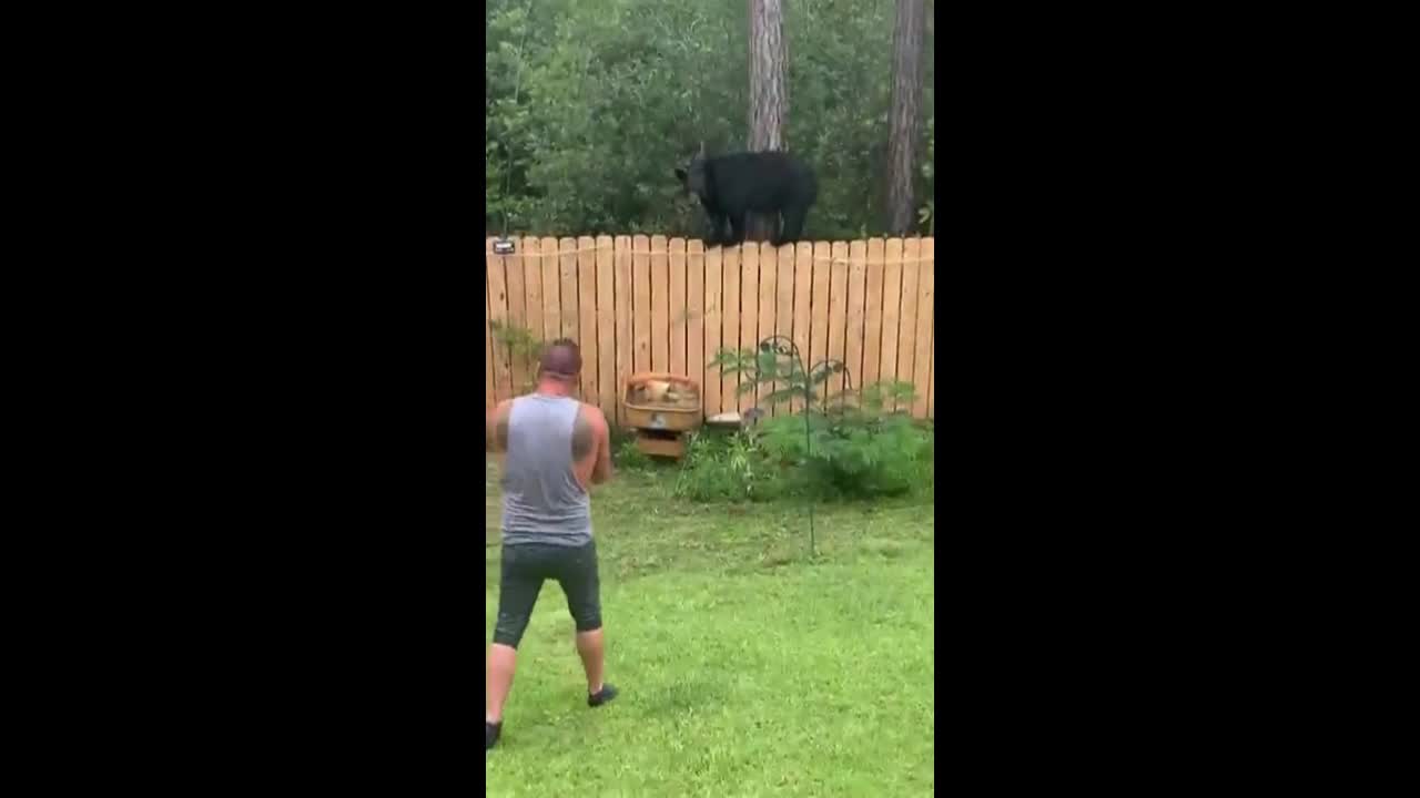 Video - Clip: Khoảnh khắc người đàn ông đối mặt với gấu đen