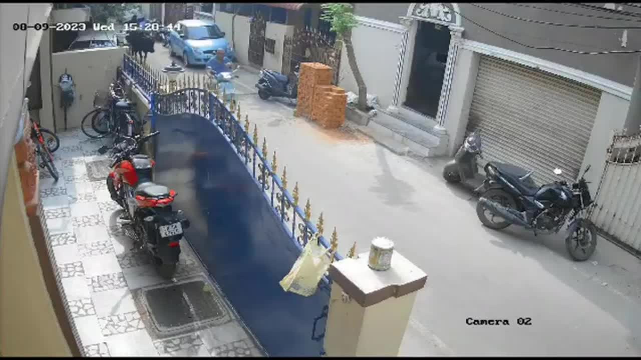Video - Clip: Bò hung hăng tấn công bé gái trên phố, dân lao vào giải cứu