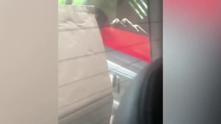 Video - Clip: Kinh hoàng phát hiện rắn trên xe đang chạy