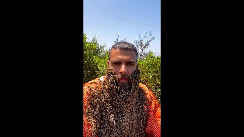 Video - Hàng nghìn con ong đậu kín trên râu của người đàn ông như phim kinh dị