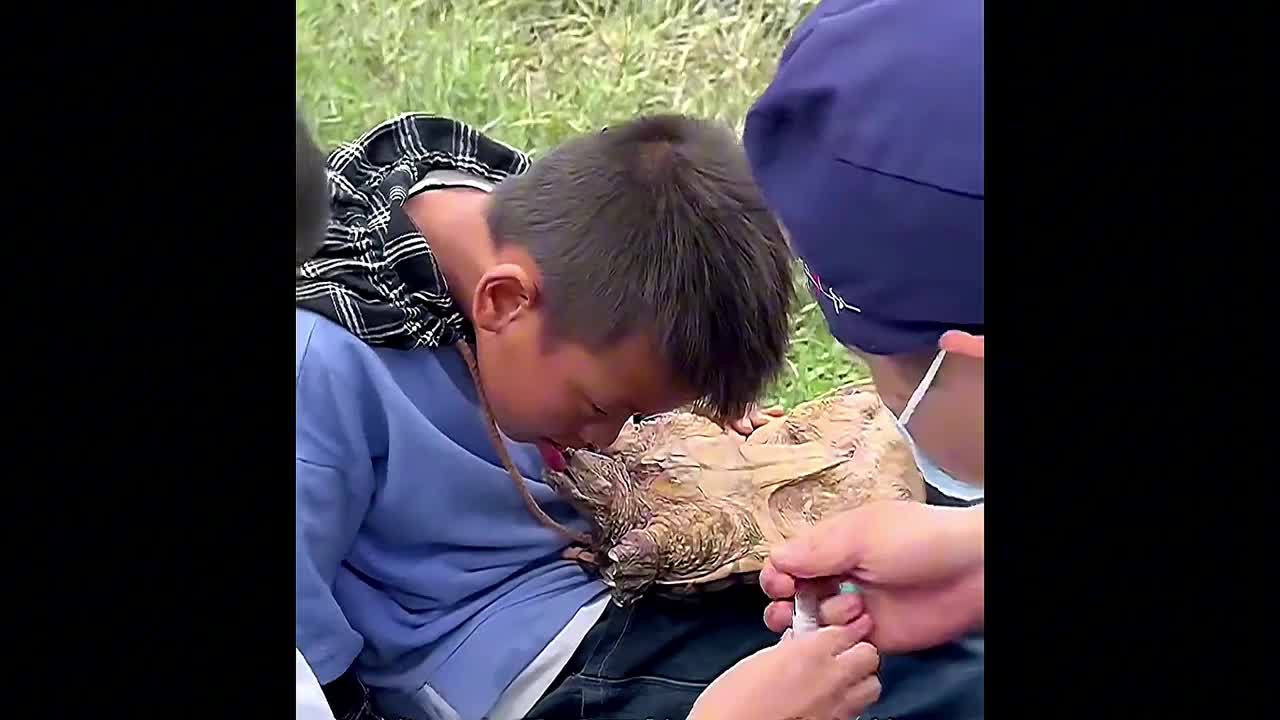 Video - Clip: Bác sĩ dùng bấm móng tay giải cứu cậu bé bị rùa cắn chặt lưỡi