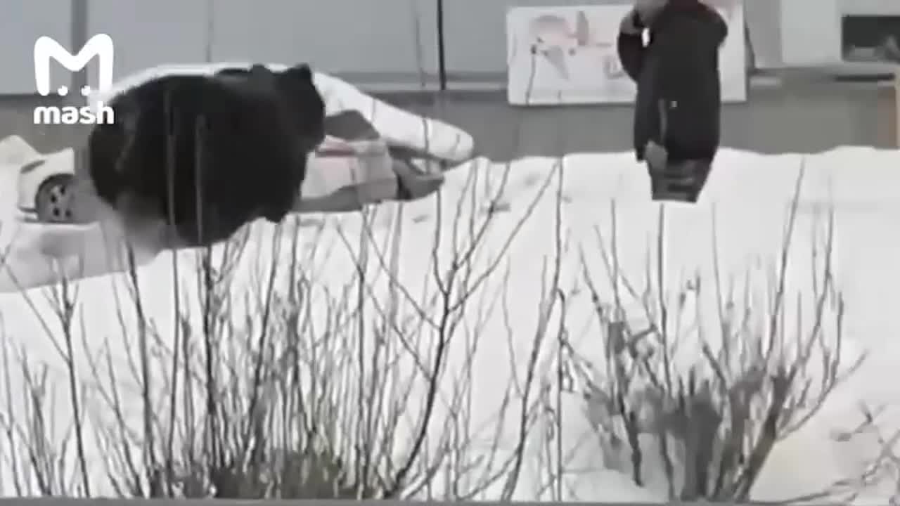 Video - Clip: Gấu đen rượt đuổi, tấn công người đàn ông ngay giữa phố