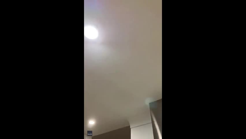 Video - Clip: Kinh hoàng người phụ nữ bắt hai con trăn đánh nhau trên trần nhà