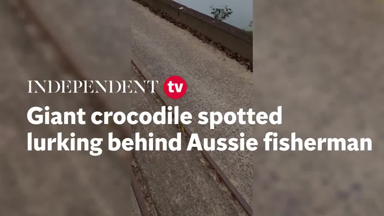 Video - Clip: Cá sấu khổng lồ rình rập sau lưng người đàn ông câu cá
