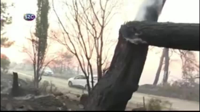 Video - Clip: Kinh hoàng cây đổ làm một người bị thương khi đang phát sóng trực tiếp