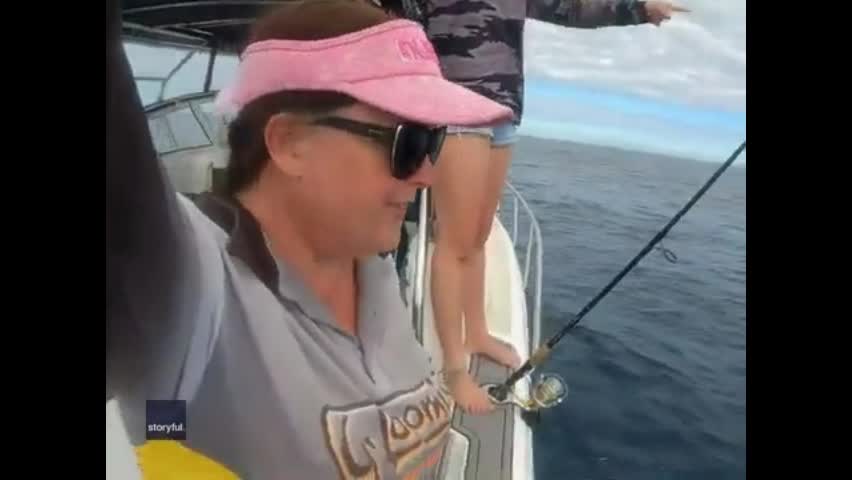 Video - Clip: Thót tim cảnh cá mập trắng lớn bơi quanh thuyền của một gia đình