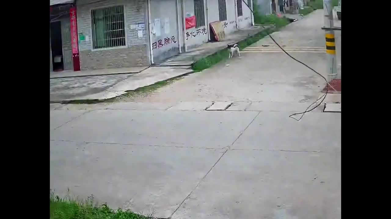 Video - Clip: Đâm trúng đường dây điện, người phụ nữ bị quật ngã xuống đường
