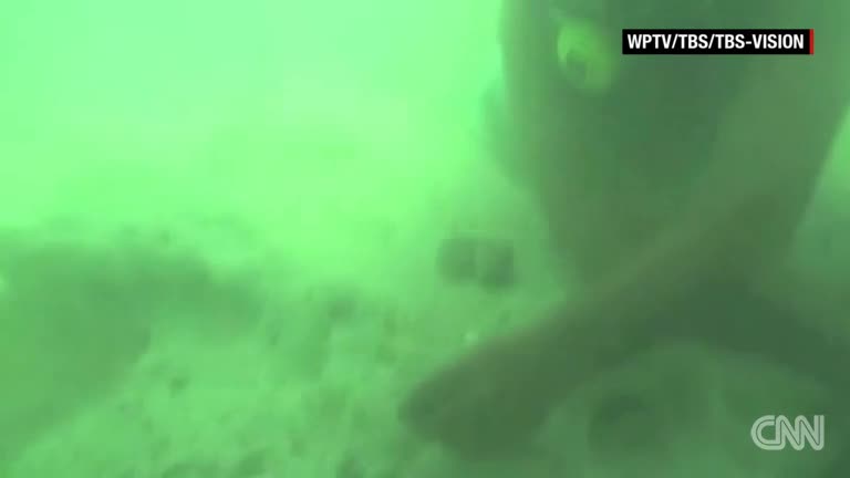 Video - Nhóm thợ lặn tìm được 'kho báu' khổng lồ trong xác tàu dưới đáy biển