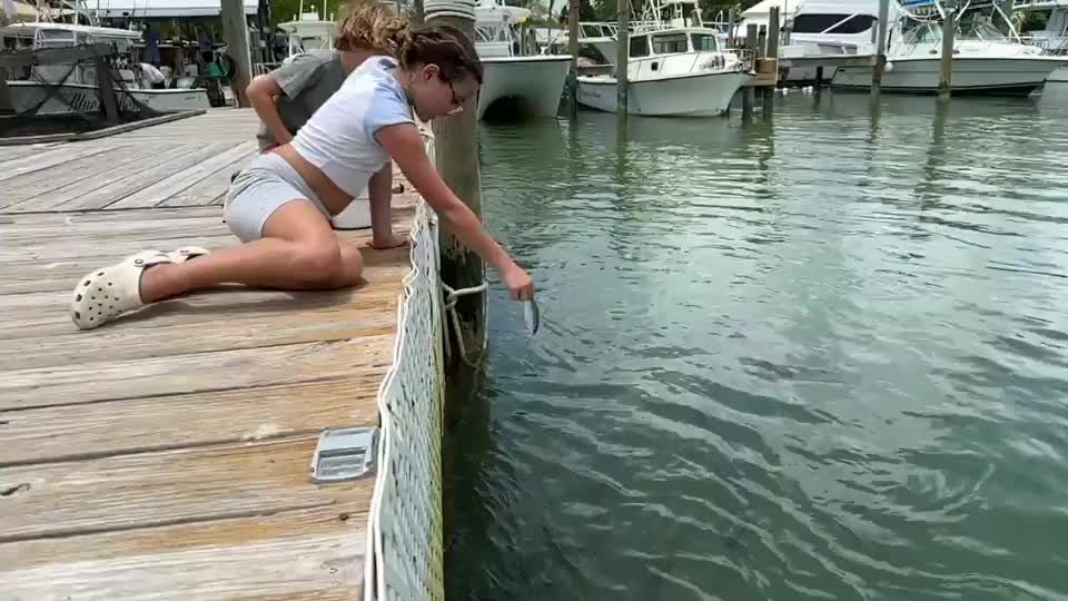 Video - Clip: Cho cá ăn, bé gái suýt bị nuốt cả cánh tay