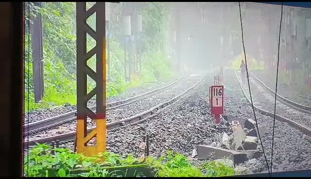 Video - Clip: Chạm trán hổ dữ trên đường ray, người đàn ông bỏ chạy thục mạng
