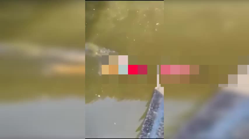 Video - Clip: Nhảy xuống sông giải nhiệt, cầu thủ bị cá sấu cắn tử vong