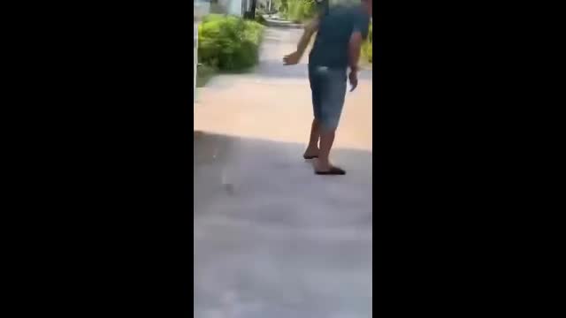 Video - Clip: Say rượu, người đàn ông tấn công rắn hổ mang và cái kết thót tim